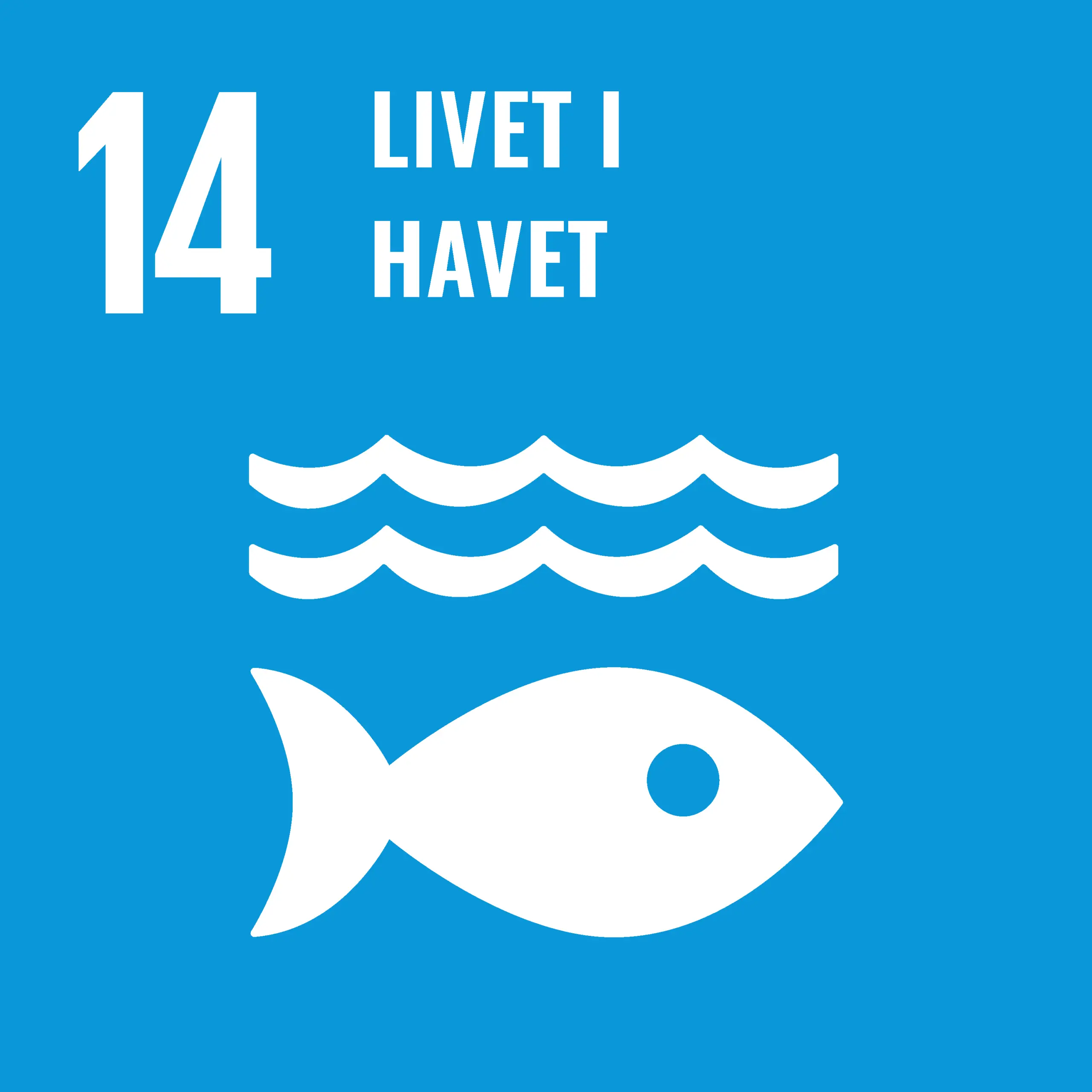 Mål 14 – Livet i havet